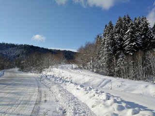Fototapeta na wymiar winter landscape with road and trees