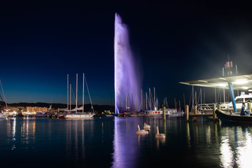 Long exposure capture of the Jet d'eau with swans swimming in a boat yard in Geneva Switzerland 