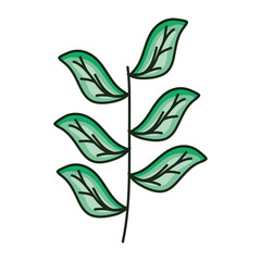 branch with leafs plant ecology icon