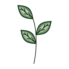 branch with leafs plant ecology icon