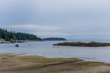 View over Inlet, ocean and island with mountains in beautiful British Columbia. Canada.