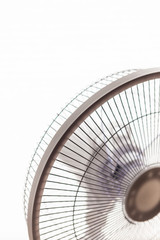 a fan close up in the morning.