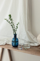 White room interior with plants