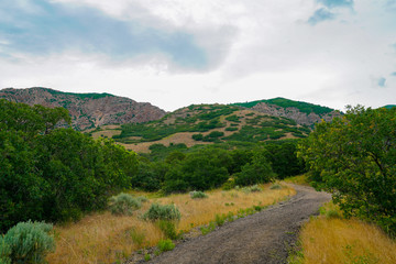 Naklejka premium Hills along Waterfall Canyon Trail near Ogden, Utah