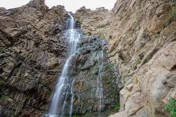 Fototapeta na wymiar Looking up at Waterfall Canyon near Ogden, Utah during summer time