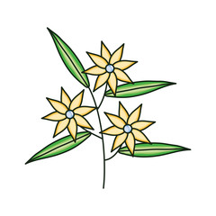 beautiful flowers and leafs garden decorative