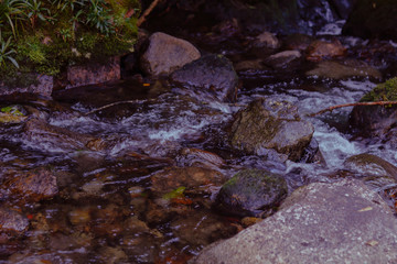 Fototapeta na wymiar stream water