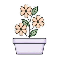 beautiful flowers garden in square ceramic pot