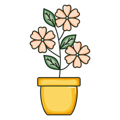 beautiful flowers garden in ceramic pot