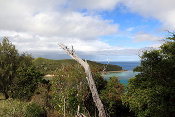 Au sommet d'une île