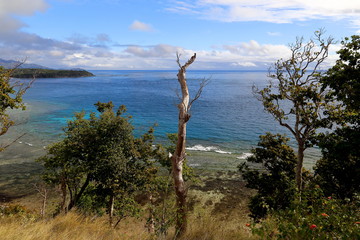 Bleu du ciel et de la mer, entremêlé de vert