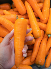 Organic carrot. Food background.