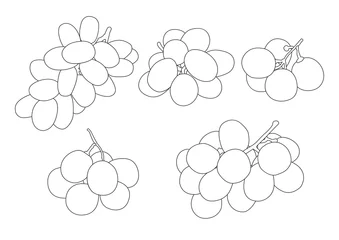 Foto op Plexiglas Line grape currant and raisin fruit on white background  illustration vector  © nantana