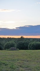 sunset over field and forest