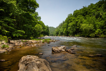 chattooga river in forest