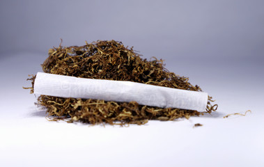 cigarette and tobacco isolated on white background