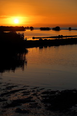 Pensée pour l'avenir