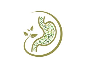 stomach icon vector illustration design