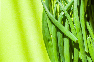 Homemade Green Onions on a Green Kitchen Board