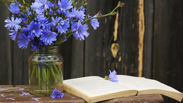 Bouquet of Chicory flowers in a vase on wooden table