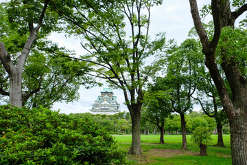西の丸庭園から見た大阪城