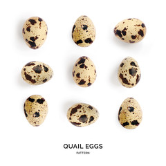 Seamless pattern with quail eggs. Tropical abstract background. Quail egg on the white background.