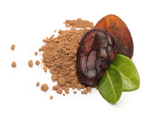 Cacao beans isolated