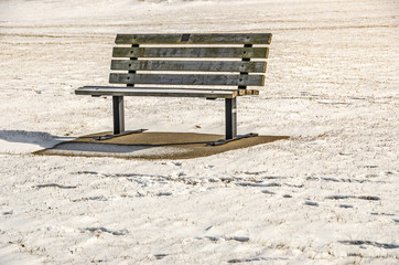 Park Bench in the Sun