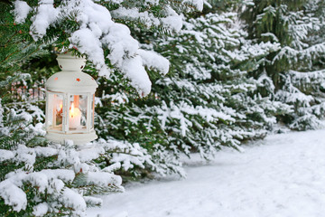 White lantern is hanging on a fir branch. Garden covered with snow.