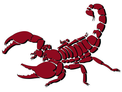 Red vector scorpion illustration for logo and tattoo