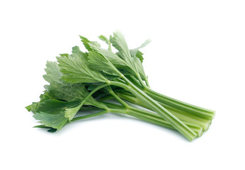 fresh celery isolated on white background