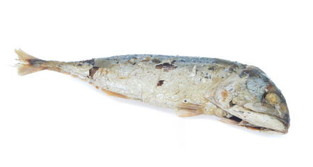 Fried Mackerel fish isolated on white background
