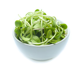 Sunflower sprouts isolated on white background