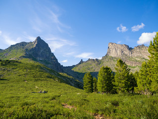 Obraz premium Tops Bird and Star in the Ergaki nature park