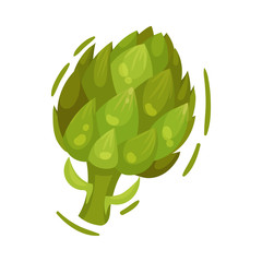 Large green artichoke. Vector illustration on white background.