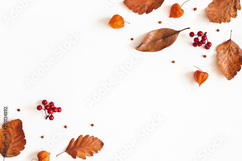 Autumn composition. Dried leaves, flowers, rowan berries on white background. Autumn, fall, thanksgiving day concept. Flat lay, top view, copy space