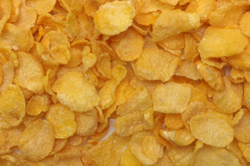 Cornflakes isolated on white background