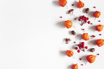 Autumn composition. Physalis flowers, leaves, rowan berries on gray background. Autumn, fall, thanksgiving day concept. Flat lay, top view, copy space