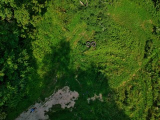 aerial view of forest