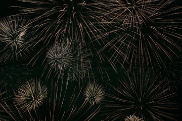 Fireworks light up the sky, Independence Day celebration. Night show. Victory Day. Festive fireworks. New year's night. Decorations for a festive party. American holiday. Day of Canada.