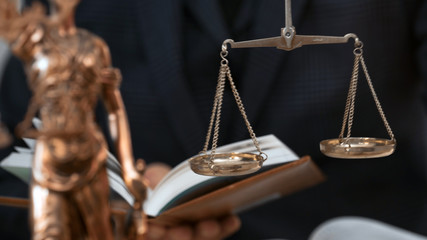 lawyer or judge work in the office with gavel and scale