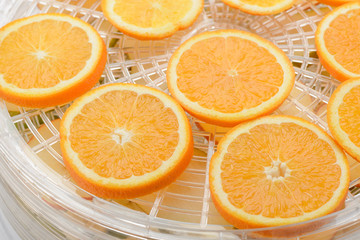 Orange slices spread in dehydrator
