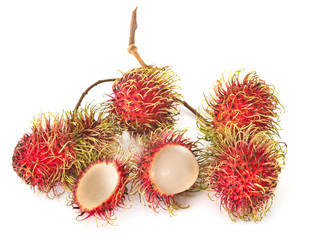 rambutan in studio