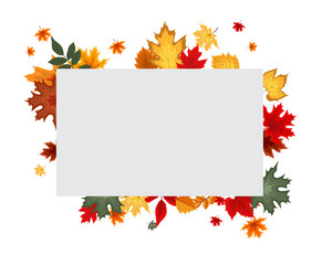 Naklejka na ściany i meble Abstract Vector Illustration Autumn Background with Falling Autumn Leaves