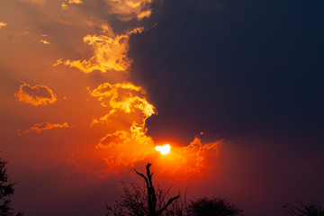 african sunset 