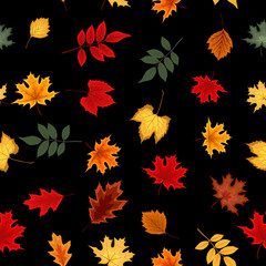 Fototapeta na wymiar Abstract Vector Illustration Seamless Pattern Background with Falling Autumn Leaves.