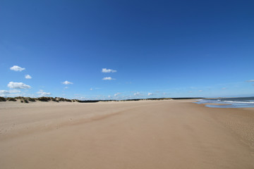 Fototapeta na wymiar Holkham, Norfolk coast - North Norfolk 