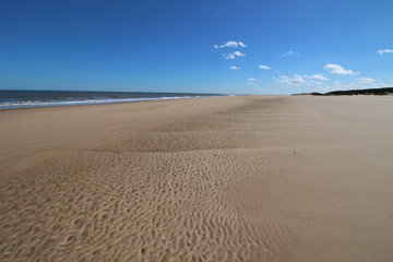 Fototapeta na wymiar Holkham, Norfolk coast - North Norfolk 