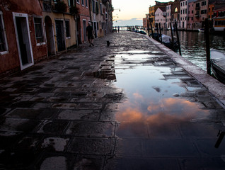 Fototapeta premium Reflejos