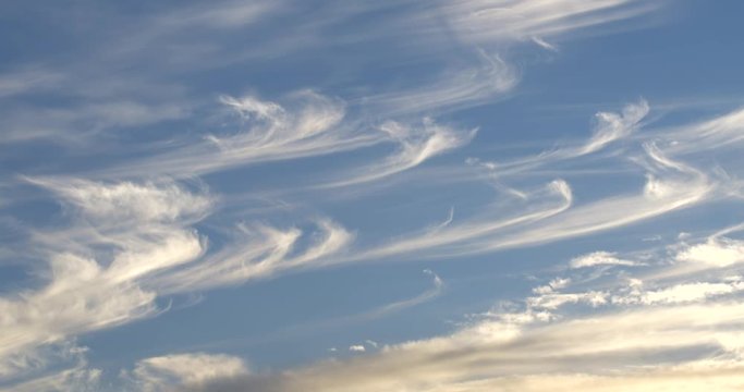 Wispy cirrus clouds in an evening sky. Real time static shot.